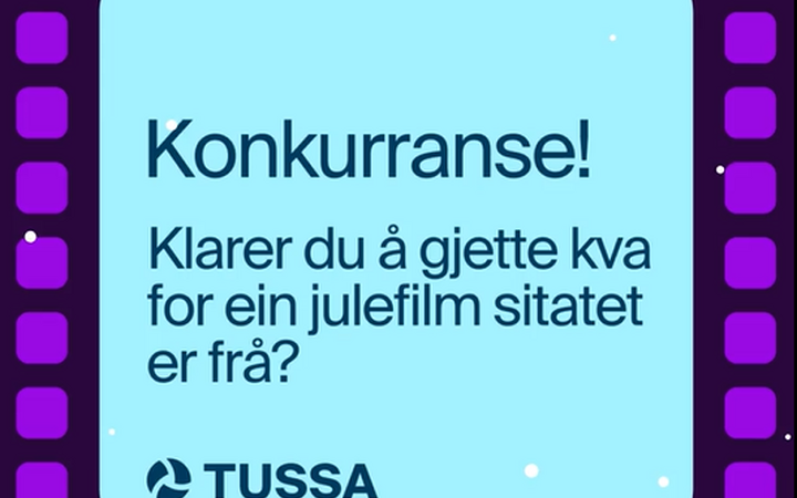 Julekalender tussa