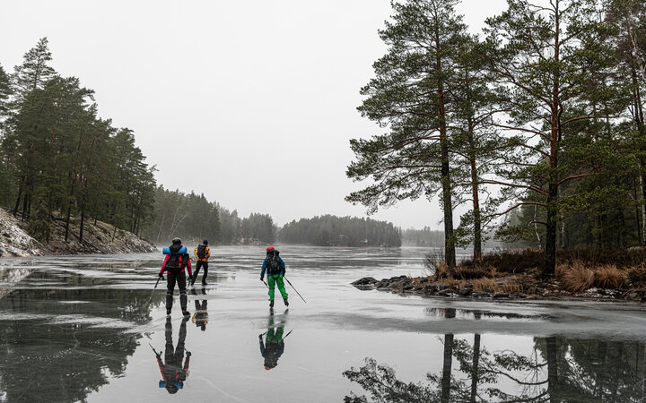 Adobe Stock 1376015062