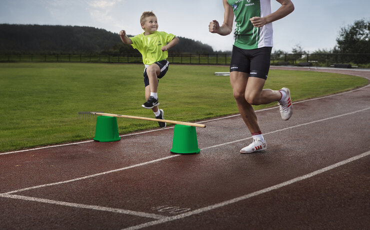 Tussa Dimna IL hekk liggende